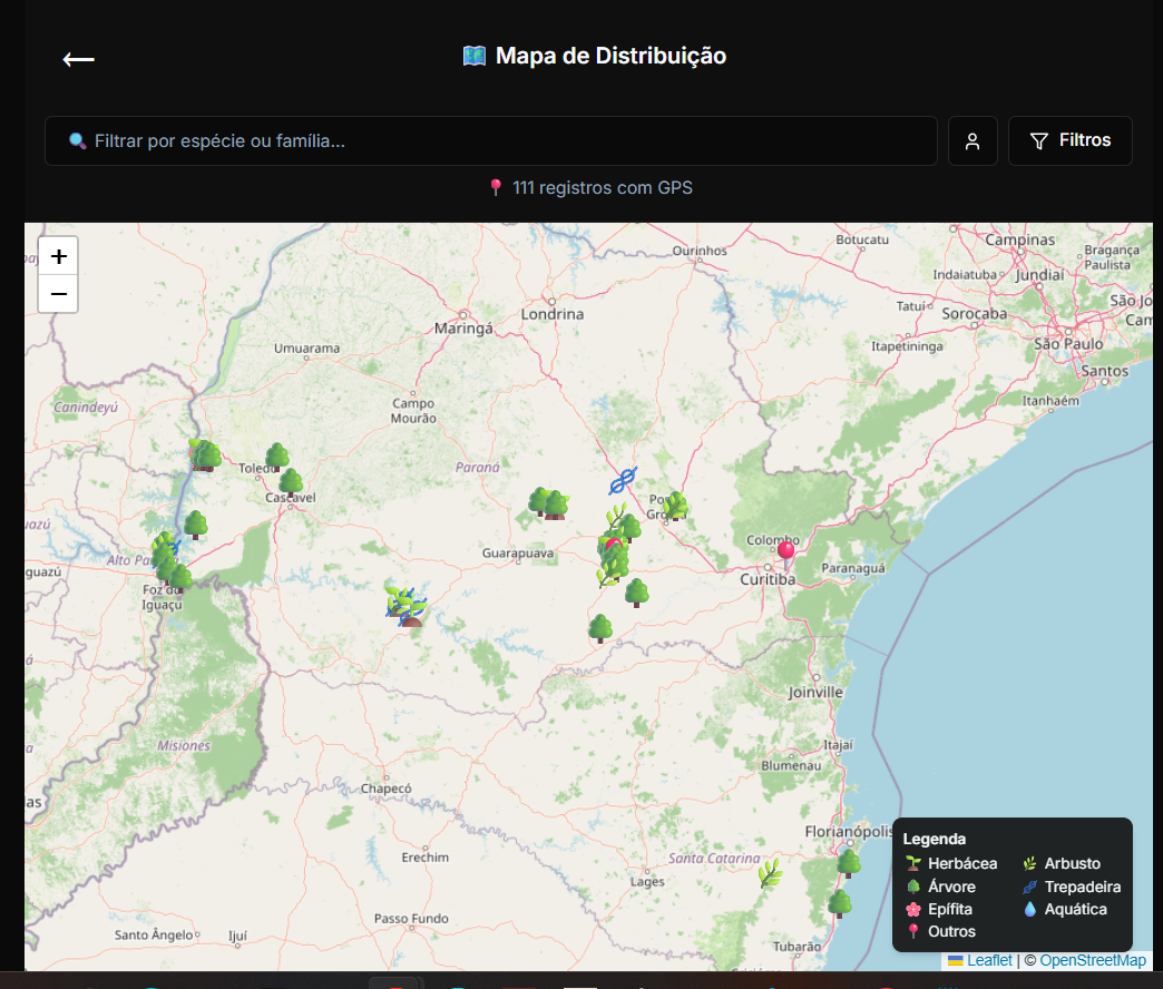 Mapa de Registros
