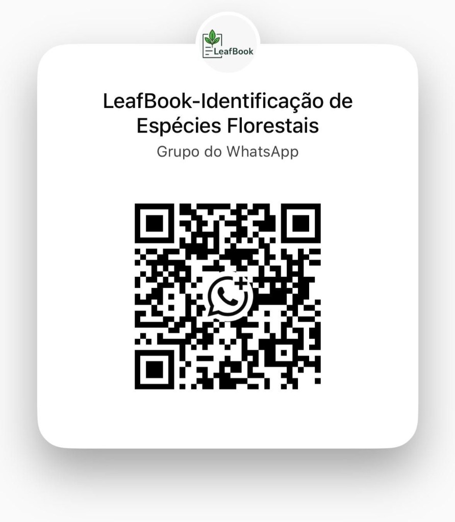 QR Code Grupo WhatsApp