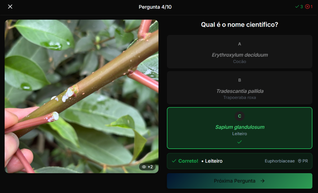 Modo Treinamento - Quiz
